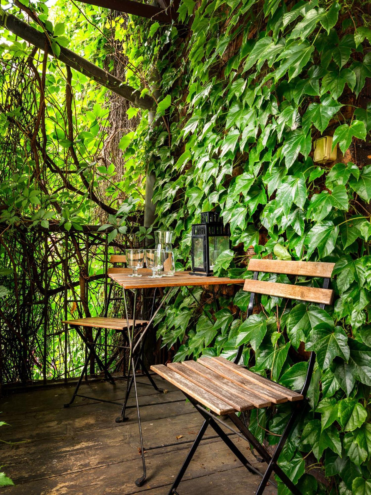 Tyzenhauz Apartments Superior Краків Екстер'єр фото
